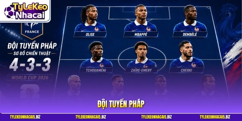 Đội tuyển Pháp