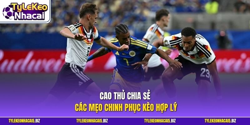 Cao thủ chia sẻ các mẹo chinh phục kèo hợp lý